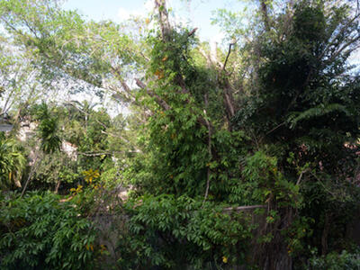 250 Bradley Place, Palm Beach, FL 33480