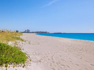 1446 N Ocean Way, Palm Beach, FL 33480