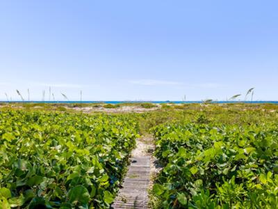 1446 N Ocean Way, Palm Beach, FL 33480