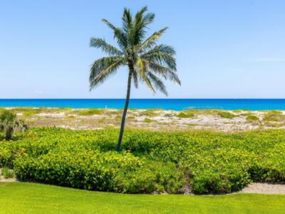 1446 N Ocean Way, Palm Beach, FL 33480