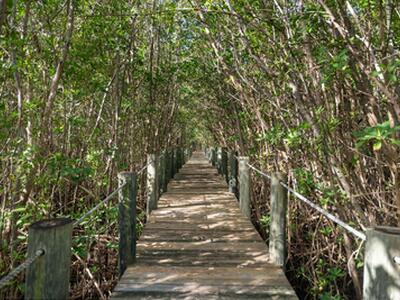 10187 S Ocean Drive, Jensen Beach, FL 34957