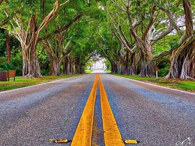 12140 SE Indian River Drive N, Hobe Sound, FL 33455