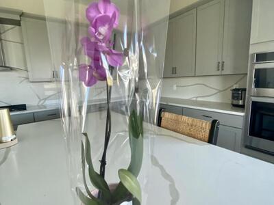 15956 Orchard Drive, Westlake, FL 33470