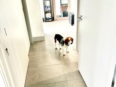 111 SE 2nd Street, Delray Beach, FL 33444