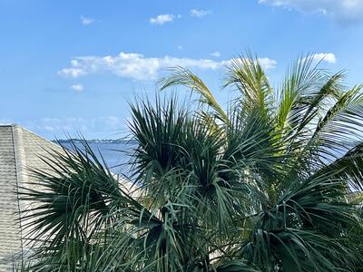 975 NW Flagler Avenue, Stuart, FL 34994