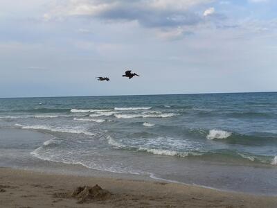 9960 S Ocean Drive, Jensen Beach, FL 34957