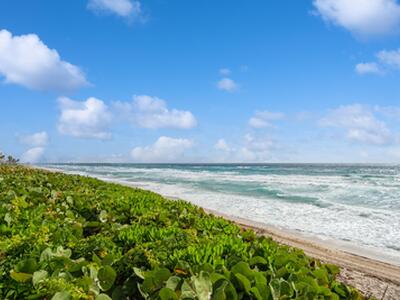 3200 S Ocean Boulevard, Palm Beach, FL 33480