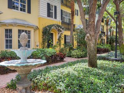 341 S Bromeliad