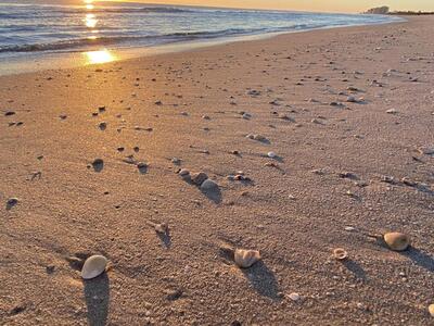 5301 Beachblanket Circle, Fort Pierce, FL 34949