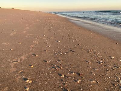 5301 Beachblanket Circle, Fort Pierce, FL 34949