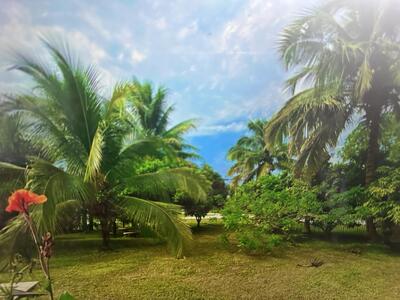 8698 Banyan Boulevard, Loxahatchee, FL 33470