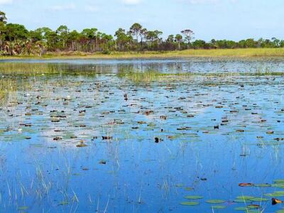 200 Intracoastal Place, Jupiter, FL 33469