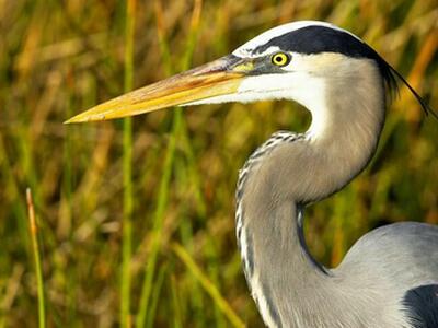 200 Intracoastal Place, Jupiter, FL 33469