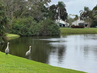 13772 Sand Crane Drive, Palm Beach Gardens, FL 33418