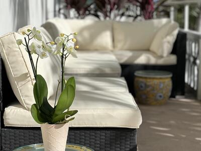 139 Sunrise Avenue, Palm Beach, FL 33480