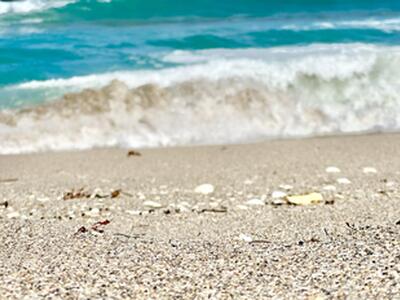 2800 N Ocean Drive, Riviera Beach, FL 33404