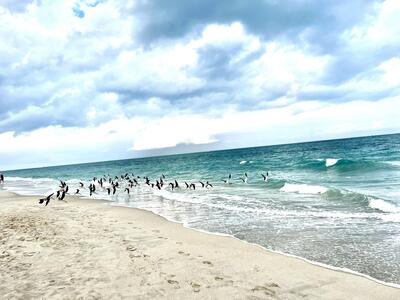 3400 N Ocean 1806 Drive, Riviera Beach, FL 33404