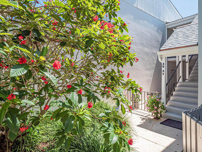 1155 Reef Road, Vero Beach, FL 32963