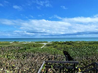 521 S Beach Road, Jupiter Island, FL 33455