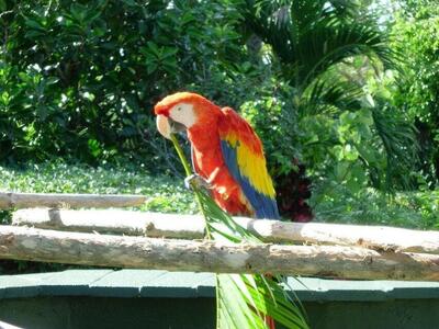 5550 N Ocean Drive, Singer Island, FL 33404