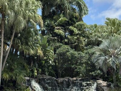 297 Deer Creek Boulevard, Deerfield Beach, FL 33442