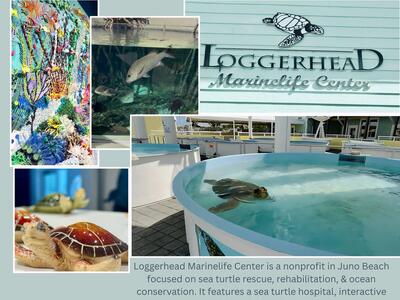 591 Kriss Lane, Jupiter, FL 33458