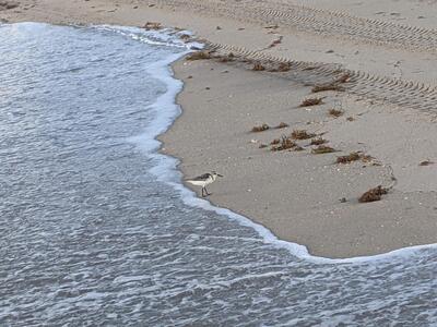 2840 S Ocean Boulevard, Palm Beach, FL 33480