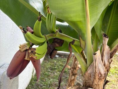 3122 Marion Avenue, Margate, FL 33063