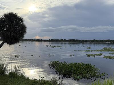 2102 Lake Osborne Drive, Lake Worth Beach, FL 33461