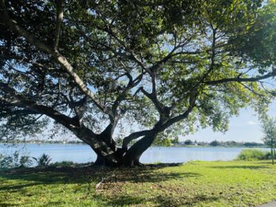 2102 Lake Osborne Drive, Lake Worth Beach, FL 33461