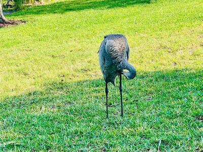 639 Daring Drive, Davenport, FL 33837