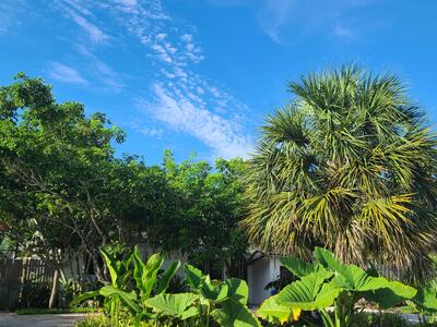 170 NW 7th Street, Boca Raton, FL 33432