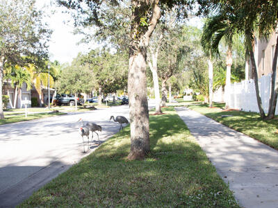 6140 Santa Margarito Drive, Fort Pierce, FL 34951