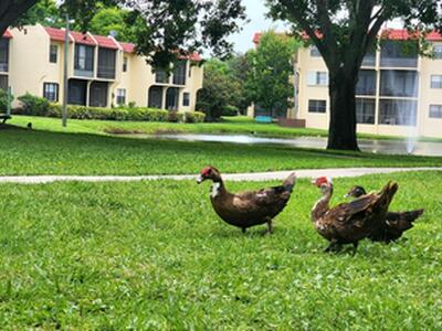 2050 Oleander Boulevard, Fort Pierce, FL 34950