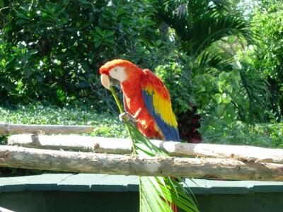 4200 N Ocean Drive, Singer Island, FL 33404