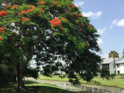 1007 Green Pine Boulevard, West Palm Beach, FL 33409