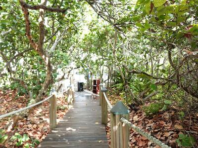 145 S Ocean Avenue, Palm Beach Shores, FL 33404