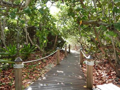 145 S Ocean Avenue, Palm Beach Shores, FL 33404