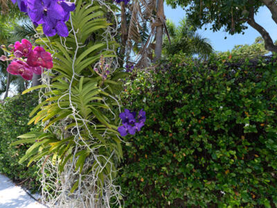 123 N Palmway Drive, Lake Worth Beach, FL 33460