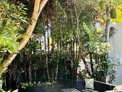 1036 Francis Street, West Palm Beach, FL 33405