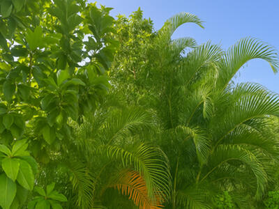 166 Woodlake Circle, Greenacres, FL 33463