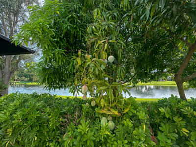 166 Woodlake Circle, Greenacres, FL 33463