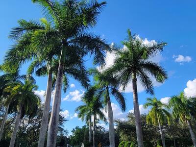 1400 Crestwood Court S, Royal Palm Beach, FL 33411