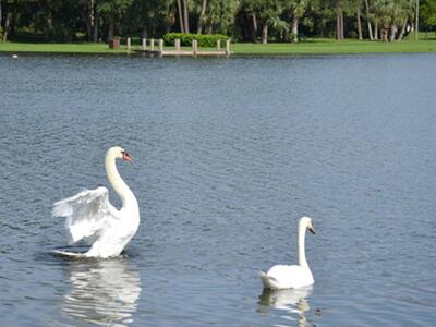 3190 Leewood Terrace, Boca Raton, FL 33431