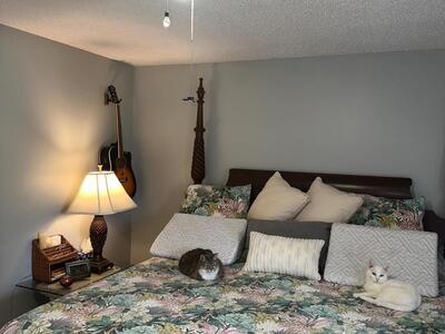 271 Chatham N, West Palm Beach, FL 33417