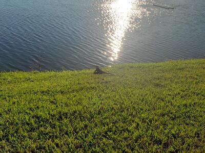 904 Flanders S, Delray Beach, FL 33484