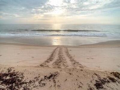 4550 Jolly Roger Manor, Vero Beach, FL 32967