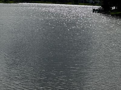 1665 Cabot Lane, Wellington, FL 33414