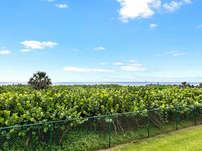 4050 N Ocean Drive, Singer Island, FL 33404