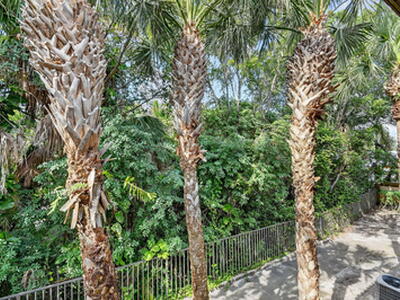 2947 Hope Valley Street, West Palm Beach, FL 33411